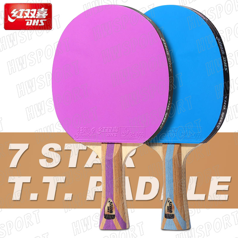 Table Tennis Review - DHS 6 Star Color racchetta da