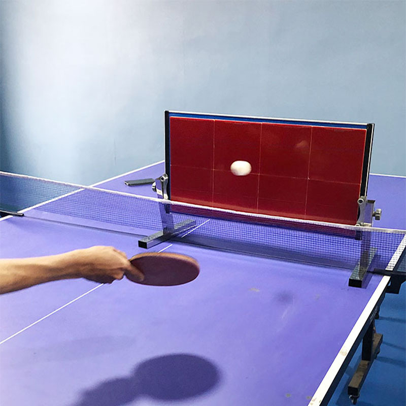 Table Tennis Zlc - Tavolo da ping pong con rimbalzo