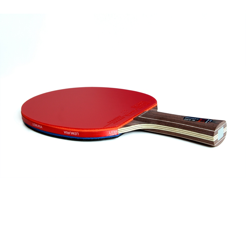 Lemuria EBENHOLZ - Racchetta d - Table Tennis Review recensione e prezzo