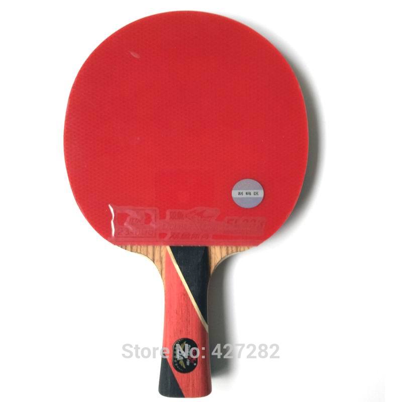 Racchetta da Ping Pong Origina - Table Tennis Review recensione e prezzo