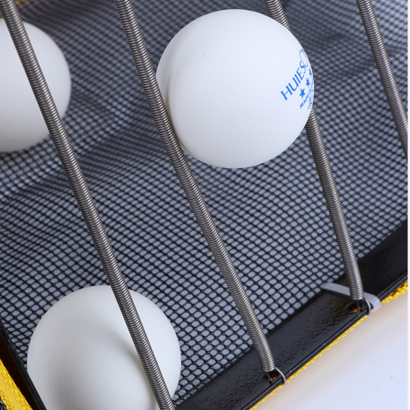 Raccoglitore di palline da pin - Table Tennis Zlc recensione e prezzo