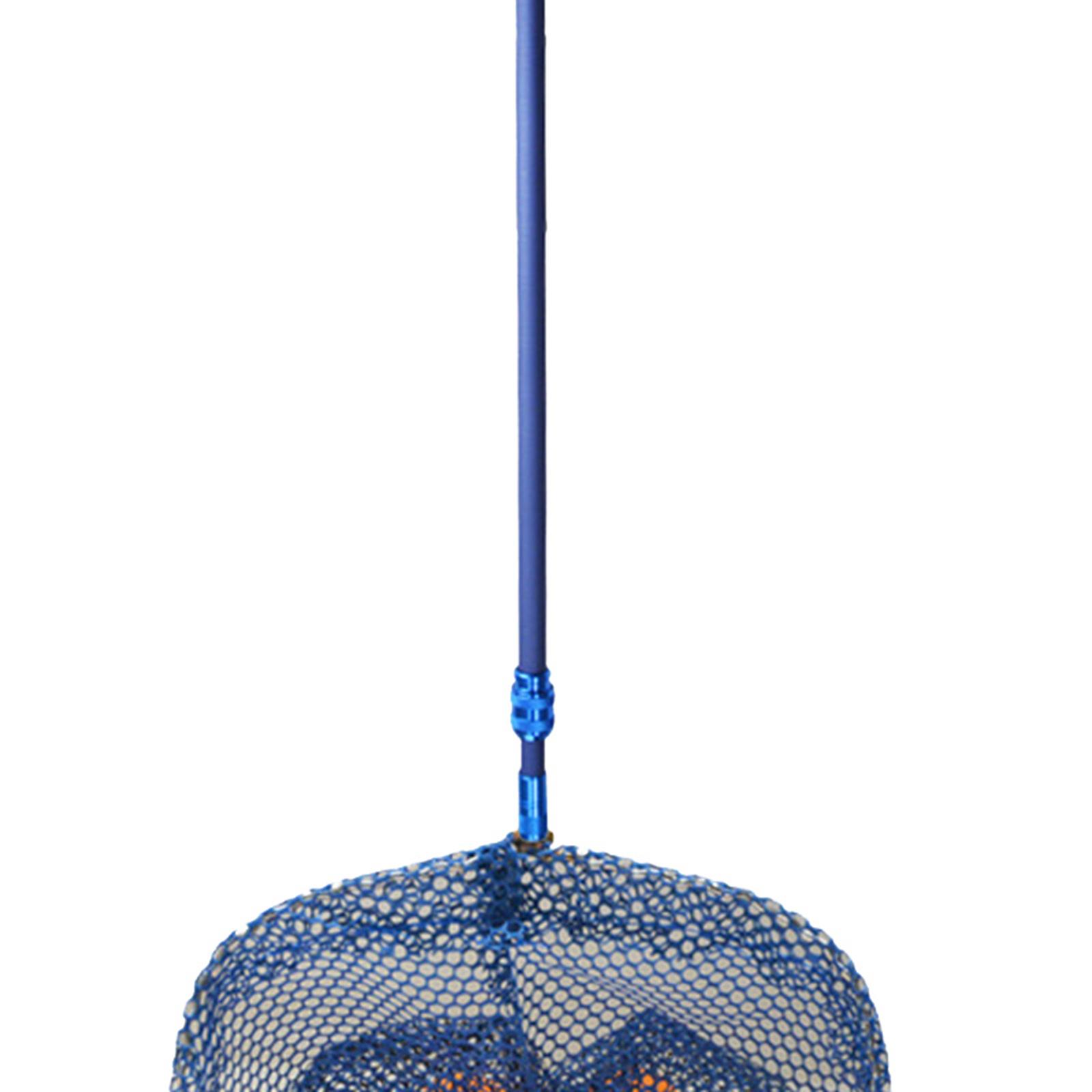 Raccoglitore di Palline da Pin - Table Tennis Zlc recensione e prezzo