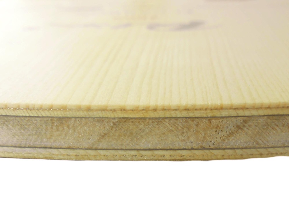 PALIO 8603 Carbonio Titanio Pi - Table Tennis Review recensione e prezzo